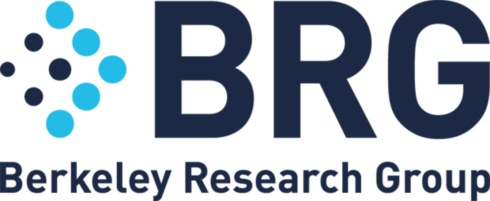 Berkeley Research Group