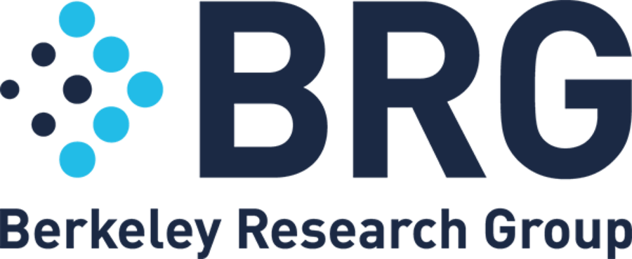 Berkeley Research Group